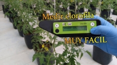 ����������� ���������� ������ ���������� (N-������) atLEAF CHL STD (���)
